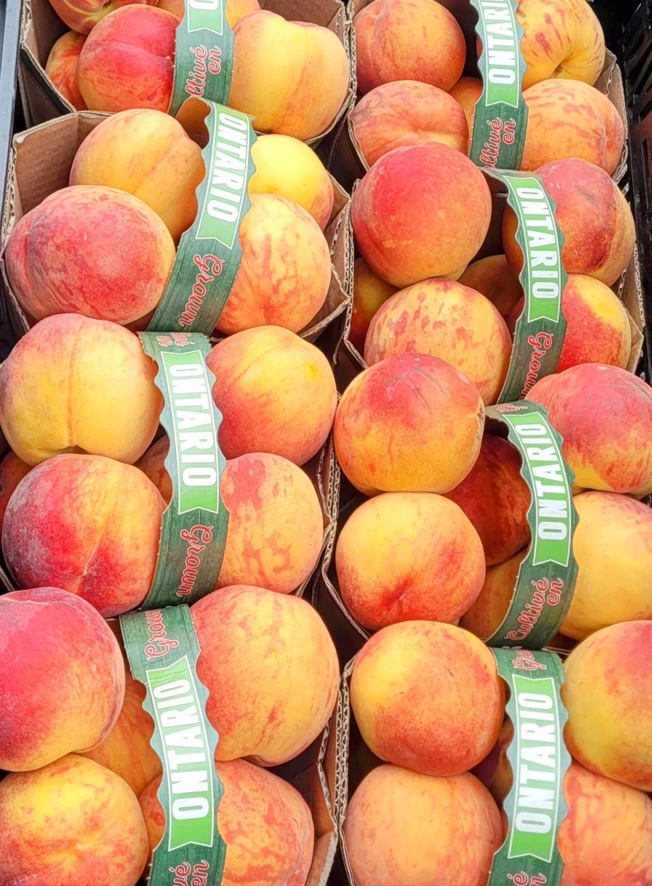 Peaches
